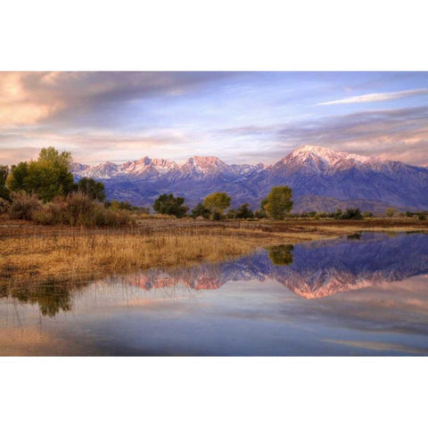 California, Bishop Sierra Mts from Farmers Pond Black Modern Wood Framed Art Print with Double Matting by Flaherty, Dennis