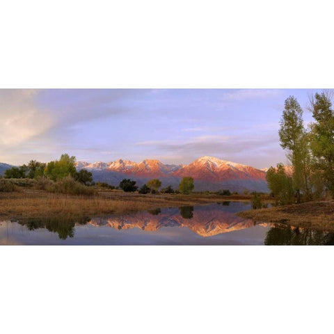 California, Bishop Sierra Mts from Farmers Pond Gold Ornate Wood Framed Art Print with Double Matting by Flaherty, Dennis