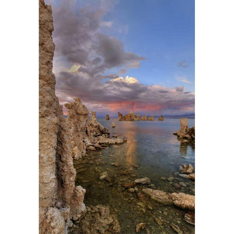 CA Sunset reflection on clouds over Mono lake White Modern Wood Framed Art Print by Flaherty, Dennis