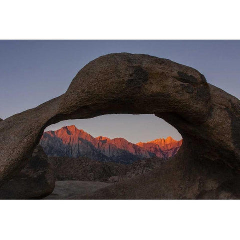CA, Alabama Hills Mt Whitney from Mobius Arch White Modern Wood Framed Art Print by Illg, Cathy and Gordon