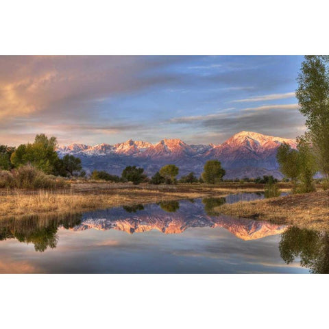 California, Bishop Sierra Mts from Farmers Pond Gold Ornate Wood Framed Art Print with Double Matting by Flaherty, Dennis