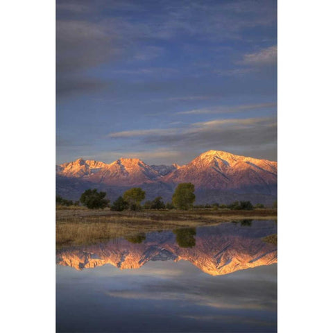 California, Bishop Sierra Mts from Farmers Pond Black Modern Wood Framed Art Print with Double Matting by Flaherty, Dennis