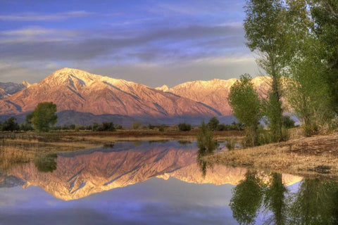 CA, Bishop Reflection of Mt Tom in Farmers Pond Black Ornate Wood Framed Art Print with Double Matting by Flaherty, Dennis