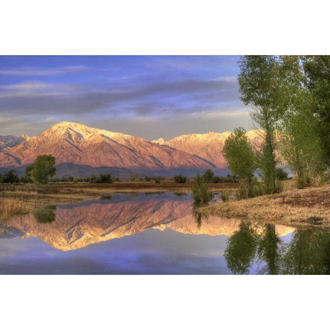 CA, Bishop Reflection of Mt Tom in Farmers Pond Gold Ornate Wood Framed Art Print with Double Matting by Flaherty, Dennis
