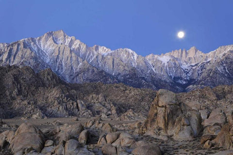 CA, Moonset on Lone Pine Peak and Mt Whitney Black Ornate Wood Framed Art Print with Double Matting by Flaherty, Dennis