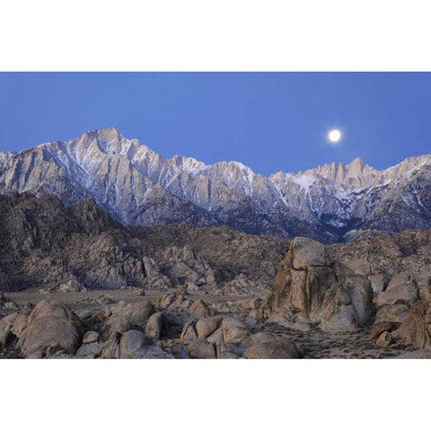 CA, Moonset on Lone Pine Peak and Mt Whitney White Modern Wood Framed Art Print by Flaherty, Dennis