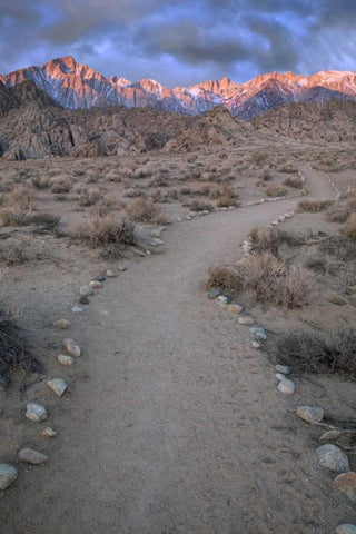 CA, Sunrise on Lone Pine Peak and Mt Whitney Black Ornate Wood Framed Art Print with Double Matting by Flaherty, Dennis