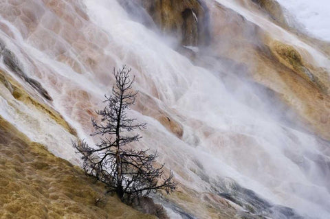 Wyoming Mammoth Hot Springs waterfall White Modern Wood Framed Art Print with Double Matting by Bush, Marie