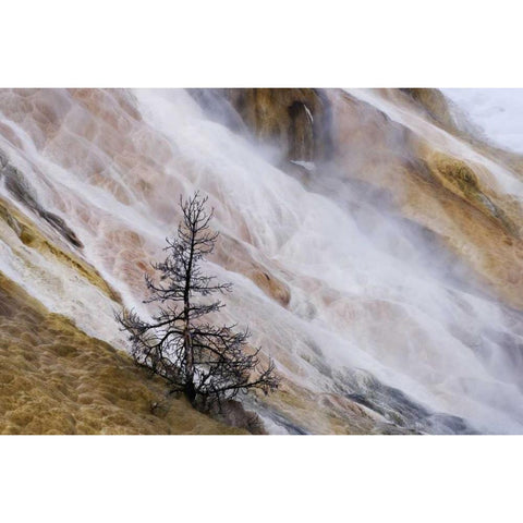 Wyoming Mammoth Hot Springs waterfall Black Modern Wood Framed Art Print by Bush, Marie