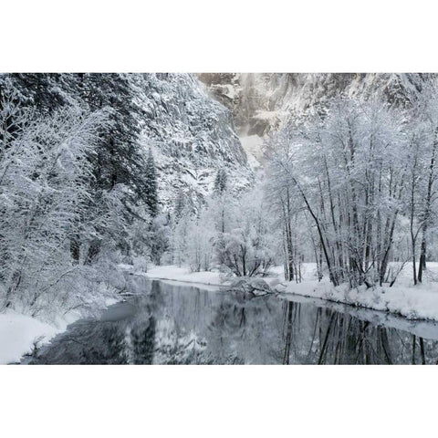 CA, Yosemite Winter landscape of Merced River White Modern Wood Framed Art Print by Bush, Marie