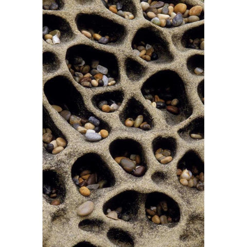 California Pebbles collected in rock cavities Black Modern Wood Framed Art Print by Bush, Marie