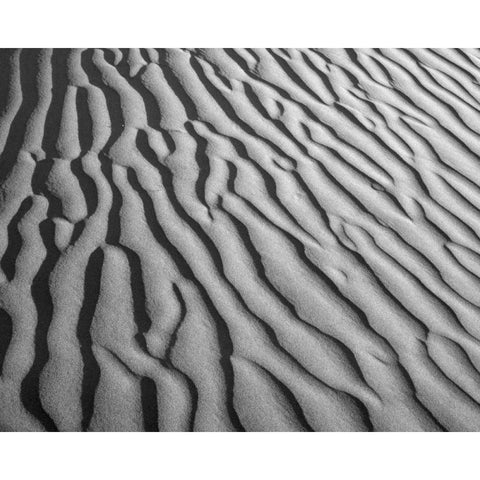 California, Death Valley NP Sand dune patterns Black Modern Wood Framed Art Print by Flaherty, Dennis