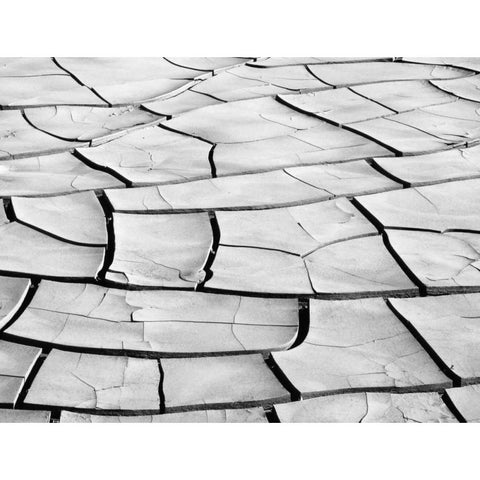 California, Death Valley Patterns in dried mud Black Modern Wood Framed Art Print by Flaherty, Dennis