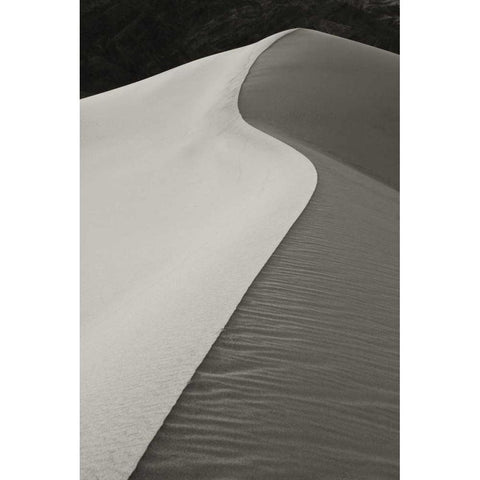 CA, Death Valley S-shaped dune ridge in morning White Modern Wood Framed Art Print by Young, Bill
