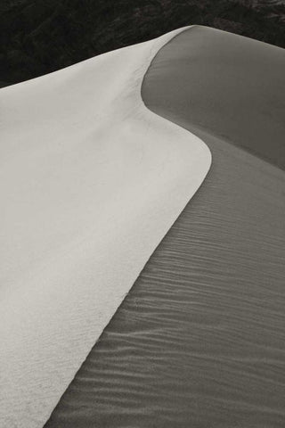 CA, Death Valley S-shaped dune ridge in morning White Modern Wood Framed Art Print with Double Matting by Young, Bill