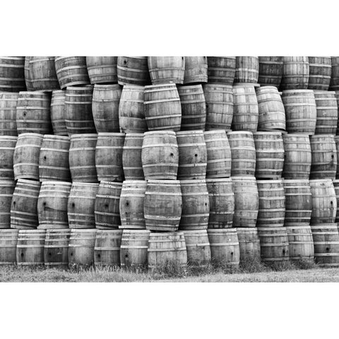 CA, San Luis Obispo Co, Stack of wine barrels Black Modern Wood Framed Art Print with Double Matting by Flaherty, Dennis