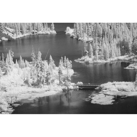 CA, Mammoth Lakes Basin Aerial of Twin Lakes White Modern Wood Framed Art Print by Flaherty, Dennis