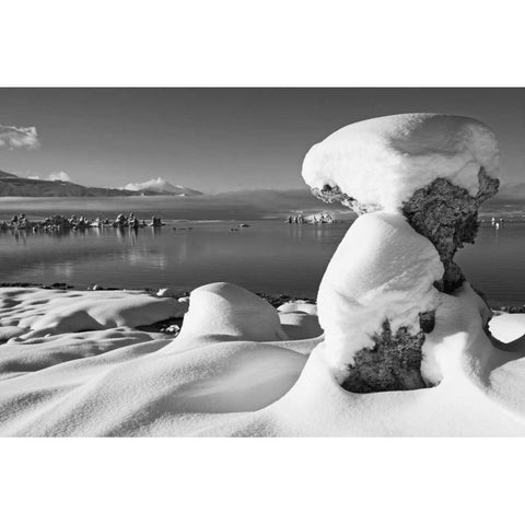 USA, California, Mono Lake Snow-covered tufa Gold Ornate Wood Framed Art Print with Double Matting by Flaherty, Dennis