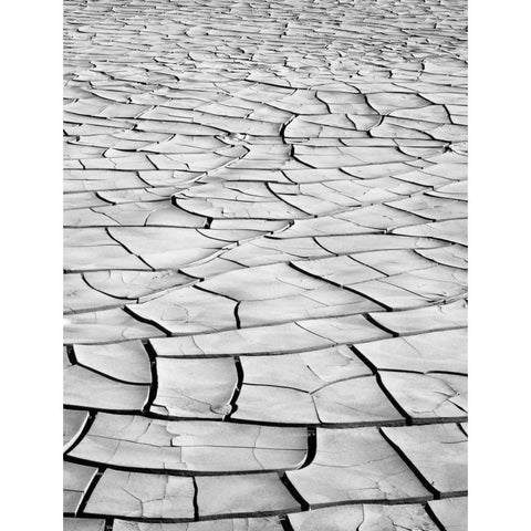 California, Death Valley Patterns in dried mud Black Modern Wood Framed Art Print with Double Matting by Flaherty, Dennis