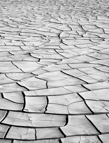 California, Death Valley Patterns in dried mud Black Ornate Wood Framed Art Print with Double Matting by Flaherty, Dennis