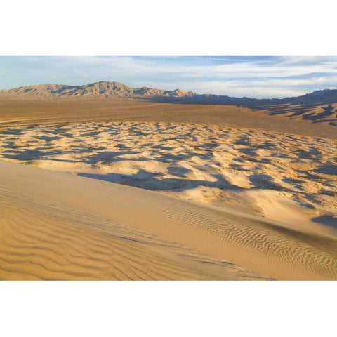 CA, Mohave National Preserve Kelso Dunes White Modern Wood Framed Art Print by Paulson, Don