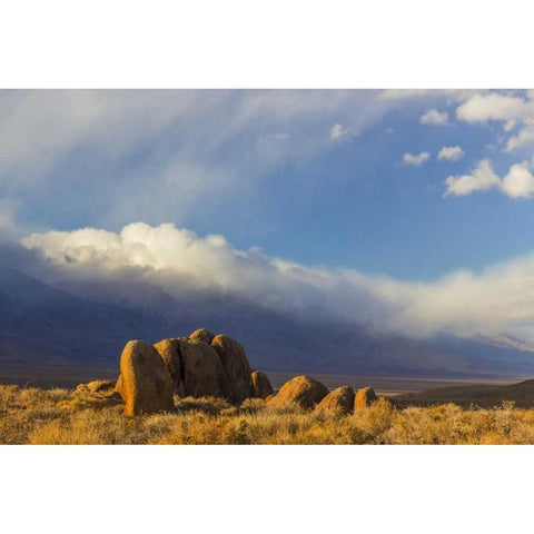 CA, Alabama Hills Mountain and desert landscape Gold Ornate Wood Framed Art Print with Double Matting by Paulson, Don