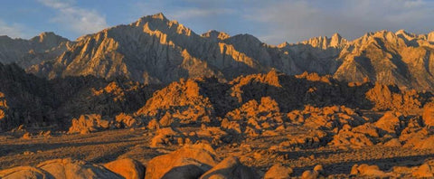 CA, Alabama Hills Panoramic of landscape Black Ornate Wood Framed Art Print with Double Matting by Paulson, Don