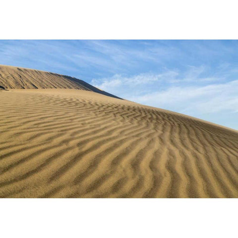 CA, Mohave National Preserve Rippled sand dunes Black Modern Wood Framed Art Print with Double Matting by Paulson, Don