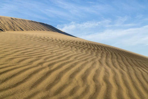 CA, Mohave National Preserve Rippled sand dunes White Modern Wood Framed Art Print with Double Matting by Paulson, Don