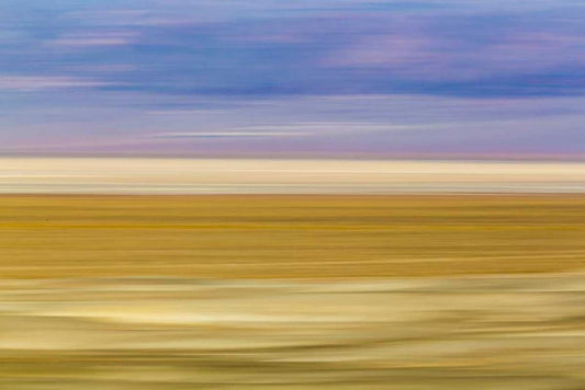 Image Only