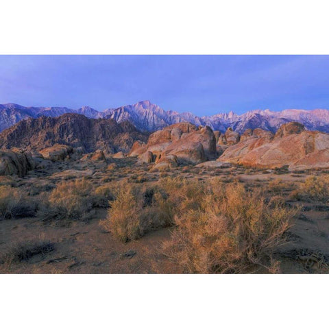 CA, Alabama Hills Lone Pine Peak and Mt Whitney White Modern Wood Framed Art Print by Paulson, Don