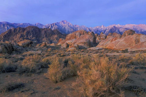 CA, Alabama Hills Lone Pine Peak and Mt Whitney Black Ornate Wood Framed Art Print with Double Matting by Paulson, Don