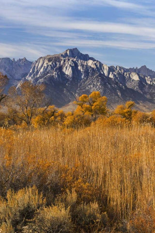 California Lone Pine Peak from Alabama Hills White Modern Wood Framed Art Print with Double Matting by Paulson, Don