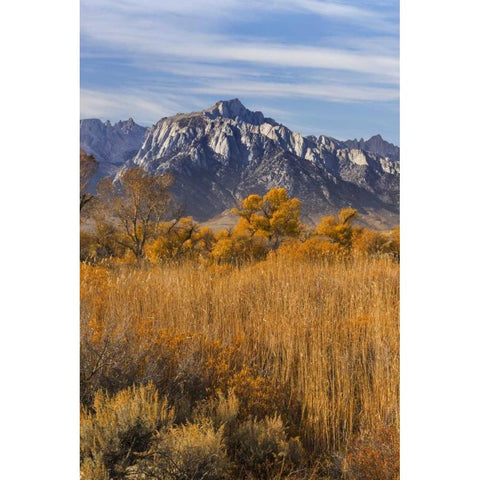 California Lone Pine Peak from Alabama Hills Black Modern Wood Framed Art Print with Double Matting by Paulson, Don