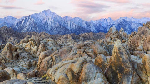 CA, Alabama Hills Panoramic of landscape Black Ornate Wood Framed Art Print with Double Matting by Paulson, Don