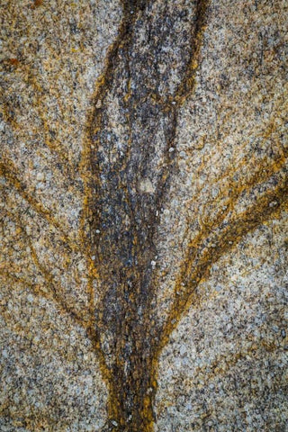 California, Alabama Hills Close-up of rock stain White Modern Wood Framed Art Print with Double Matting by Paulson, Don