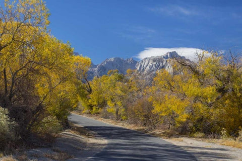 California, Alabama Hills Tuttle Creek Road White Modern Wood Framed Art Print with Double Matting by Paulson, Don