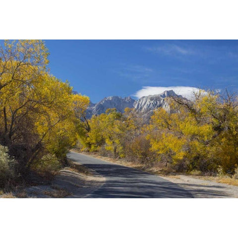 California, Alabama Hills Tuttle Creek Road Black Modern Wood Framed Art Print by Paulson, Don