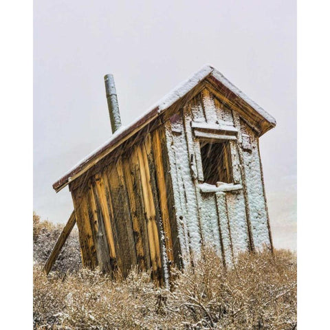 USA, California, Bodie Solitary outhouse Black Modern Wood Framed Art Print with Double Matting by Paulson, Don