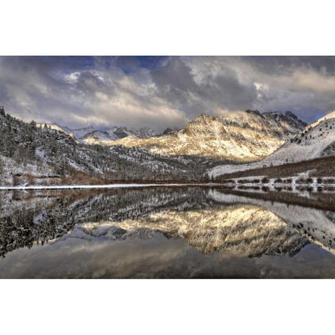 California, Sierra Nevada Spring at North Lake White Modern Wood Framed Art Print by Flaherty, Dennis