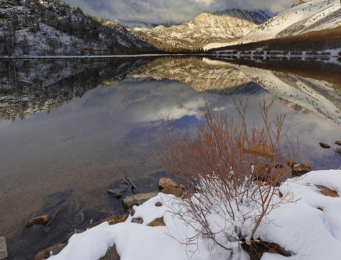 California, Sierra Nevada Spring at North Lake Black Ornate Wood Framed Art Print with Double Matting by Flaherty, Dennis