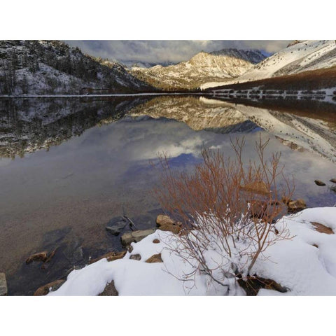 California, Sierra Nevada Spring at North Lake Black Modern Wood Framed Art Print by Flaherty, Dennis