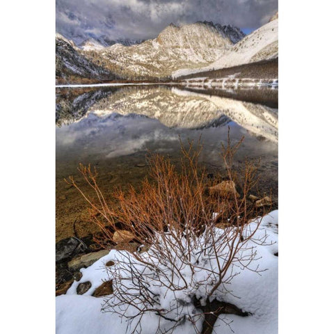 California, Sierra Nevada Spring at North Lake White Modern Wood Framed Art Print by Flaherty, Dennis