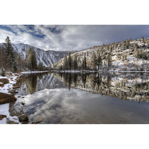 California, Sierra Nevada Spring at North Lake Gold Ornate Wood Framed Art Print with Double Matting by Flaherty, Dennis