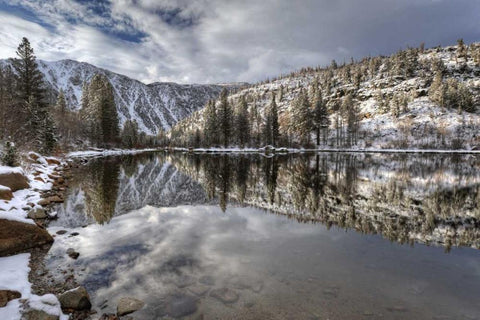 California, Sierra Nevada Spring at North Lake Black Ornate Wood Framed Art Print with Double Matting by Flaherty, Dennis