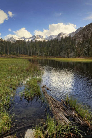 California, Sierra Nevada Weir Pond landscape White Modern Wood Framed Art Print with Double Matting by Flaherty, Dennis