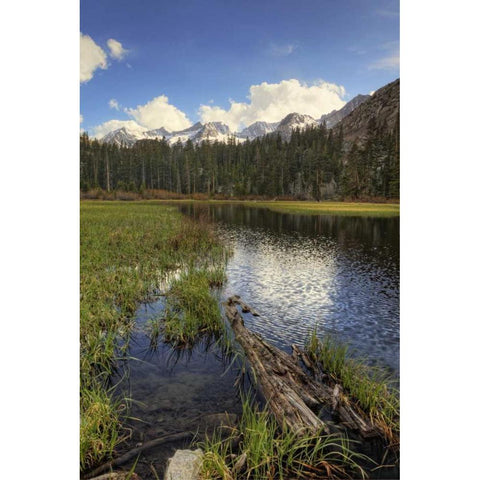 California, Sierra Nevada Weir Pond landscape White Modern Wood Framed Art Print by Flaherty, Dennis