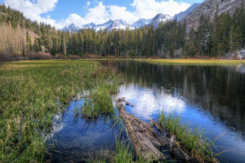 California, Sierra Nevada Weir Pond landscape White Modern Wood Framed Art Print with Double Matting by Flaherty, Dennis