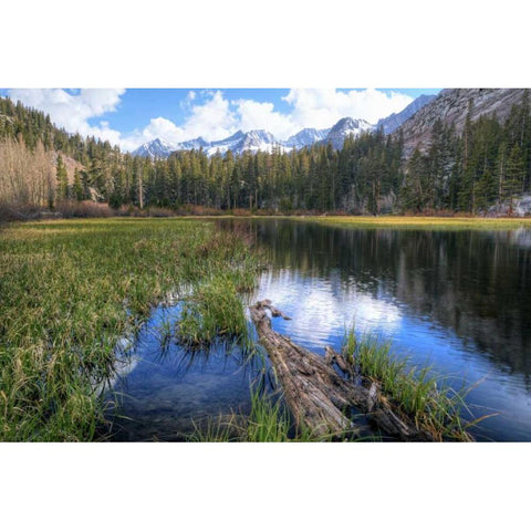 California, Sierra Nevada Weir Pond landscape Black Modern Wood Framed Art Print with Double Matting by Flaherty, Dennis