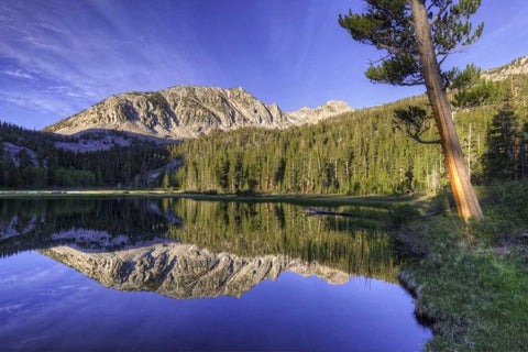 California, Sierra Nevada Grass Lake reflection Black Ornate Wood Framed Art Print with Double Matting by Flaherty, Dennis